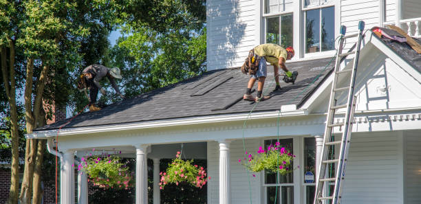Best Local Roofing Companies  in Fox Chase, PA